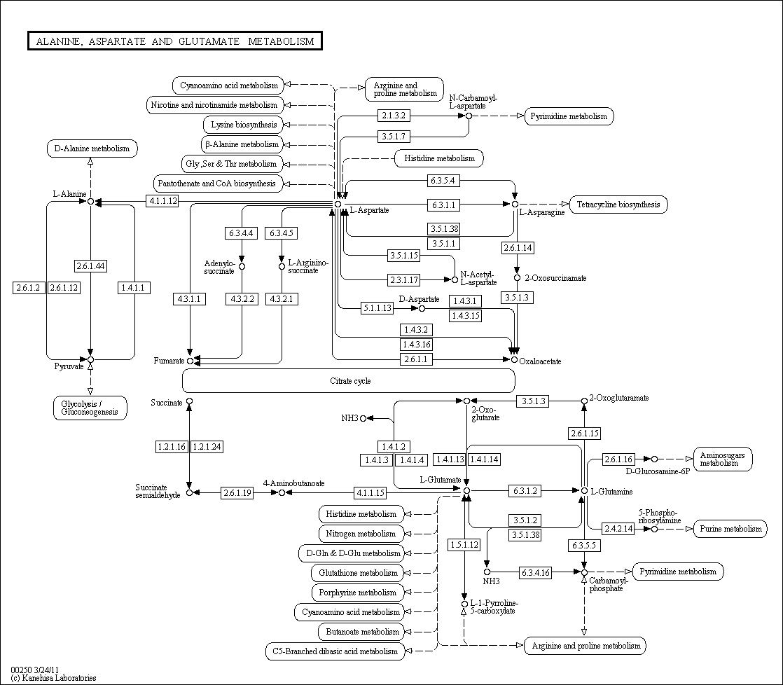 Cell Cycle