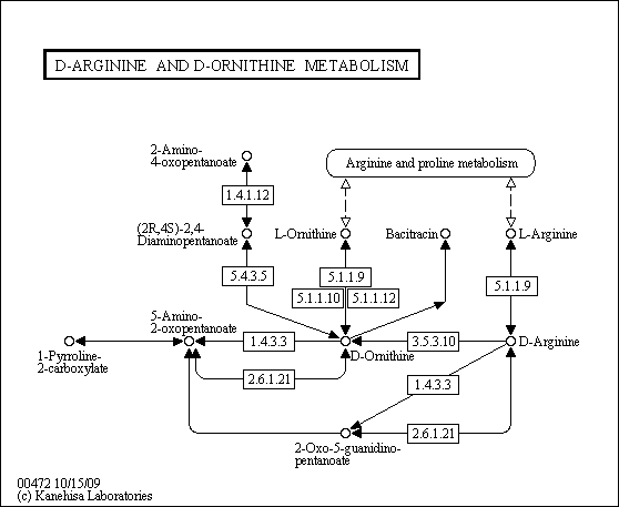 Cell Cycle