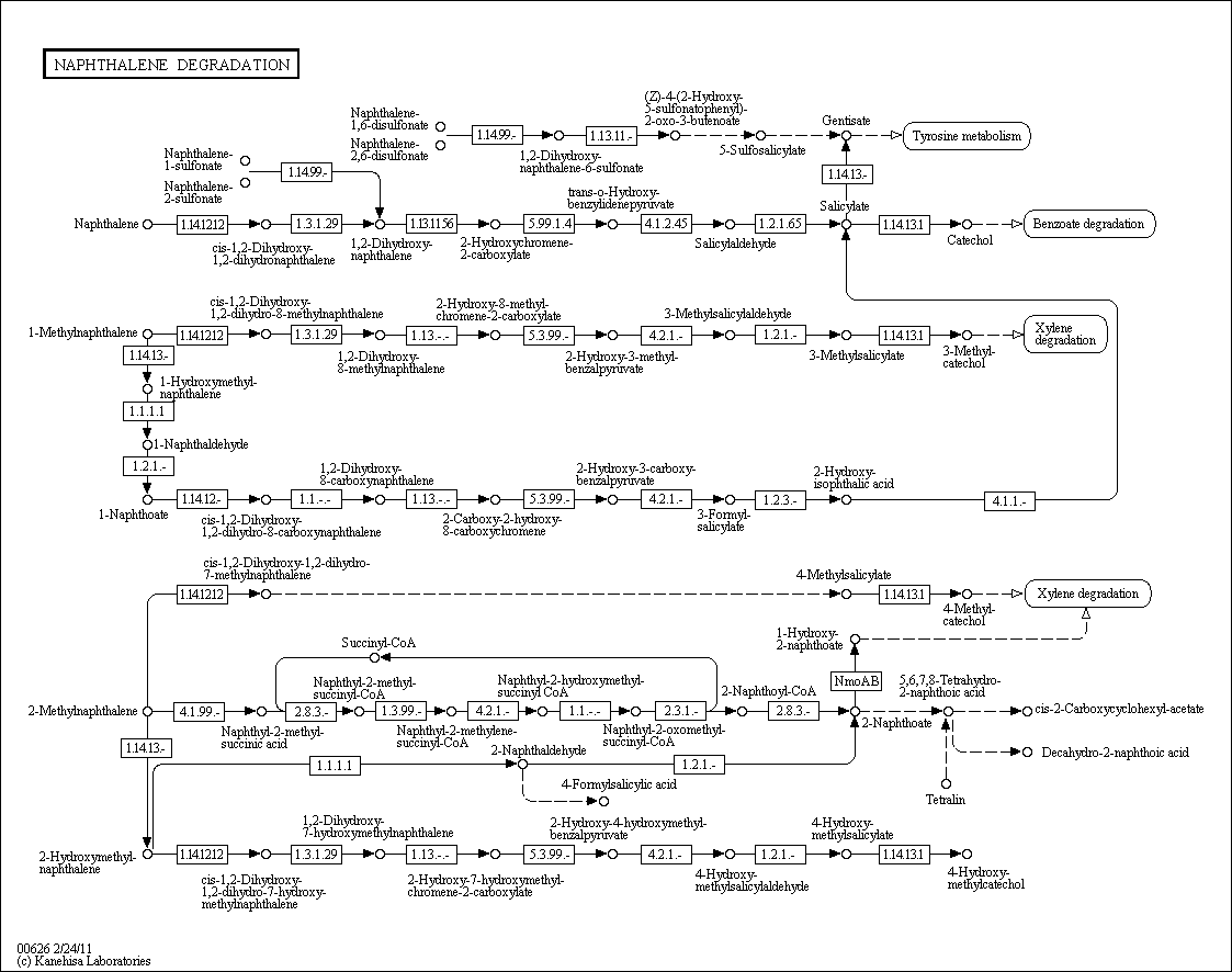 Cell Cycle